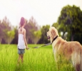 Top 10 Pet Relocation Services in India